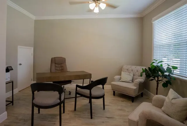 a living room with furniture flowerpot and a window