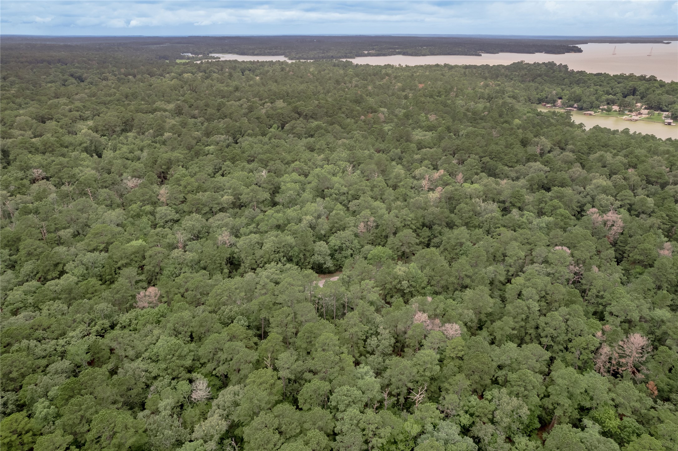 Lot 9 Rohm Place Point Blank, TX 77364 - Photo 22 of 26