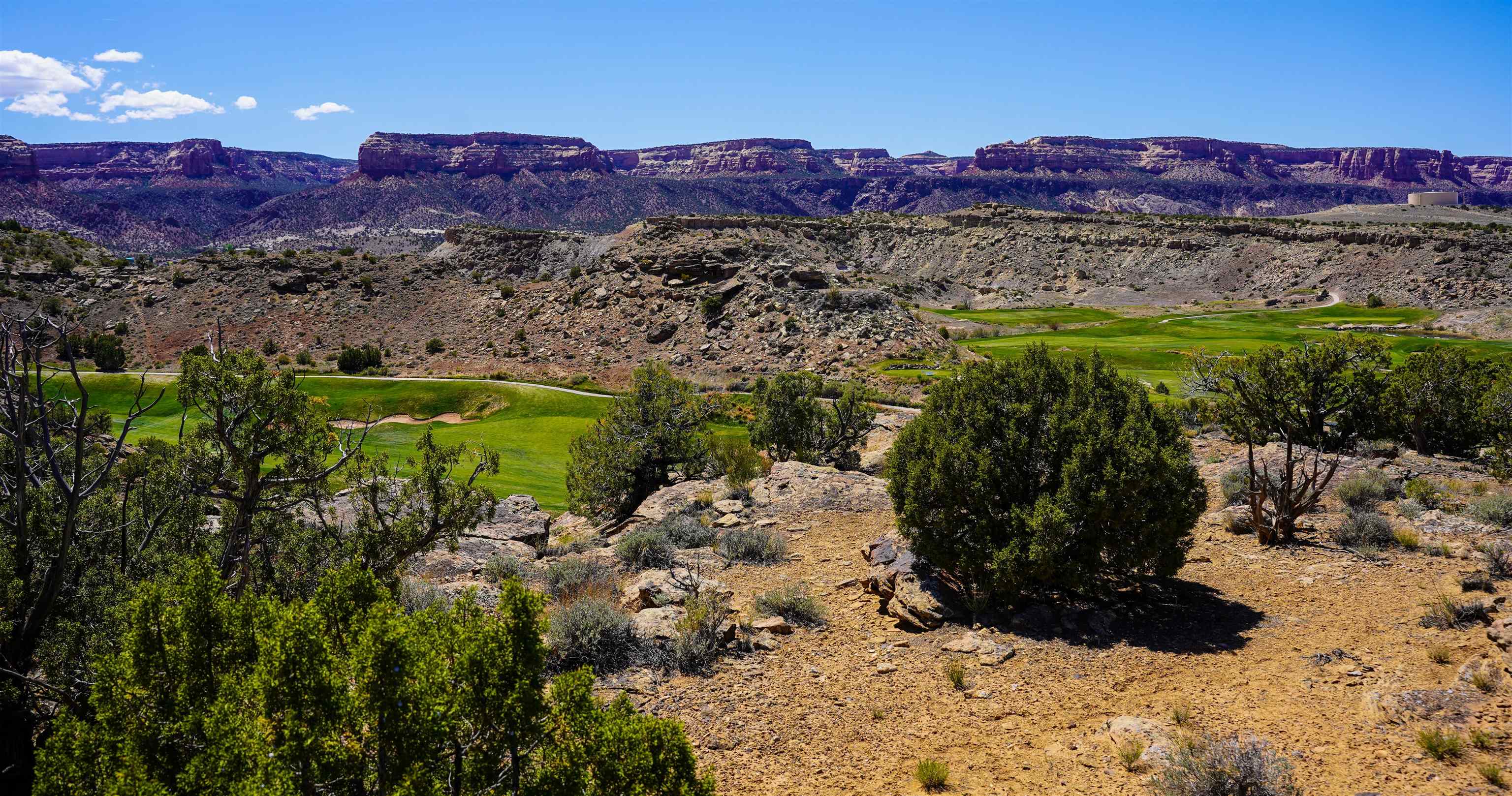 353 High Desert Road Grand Junction, CO 81507 - Photo 11 of 15 a view of a area with a mountain in the background
