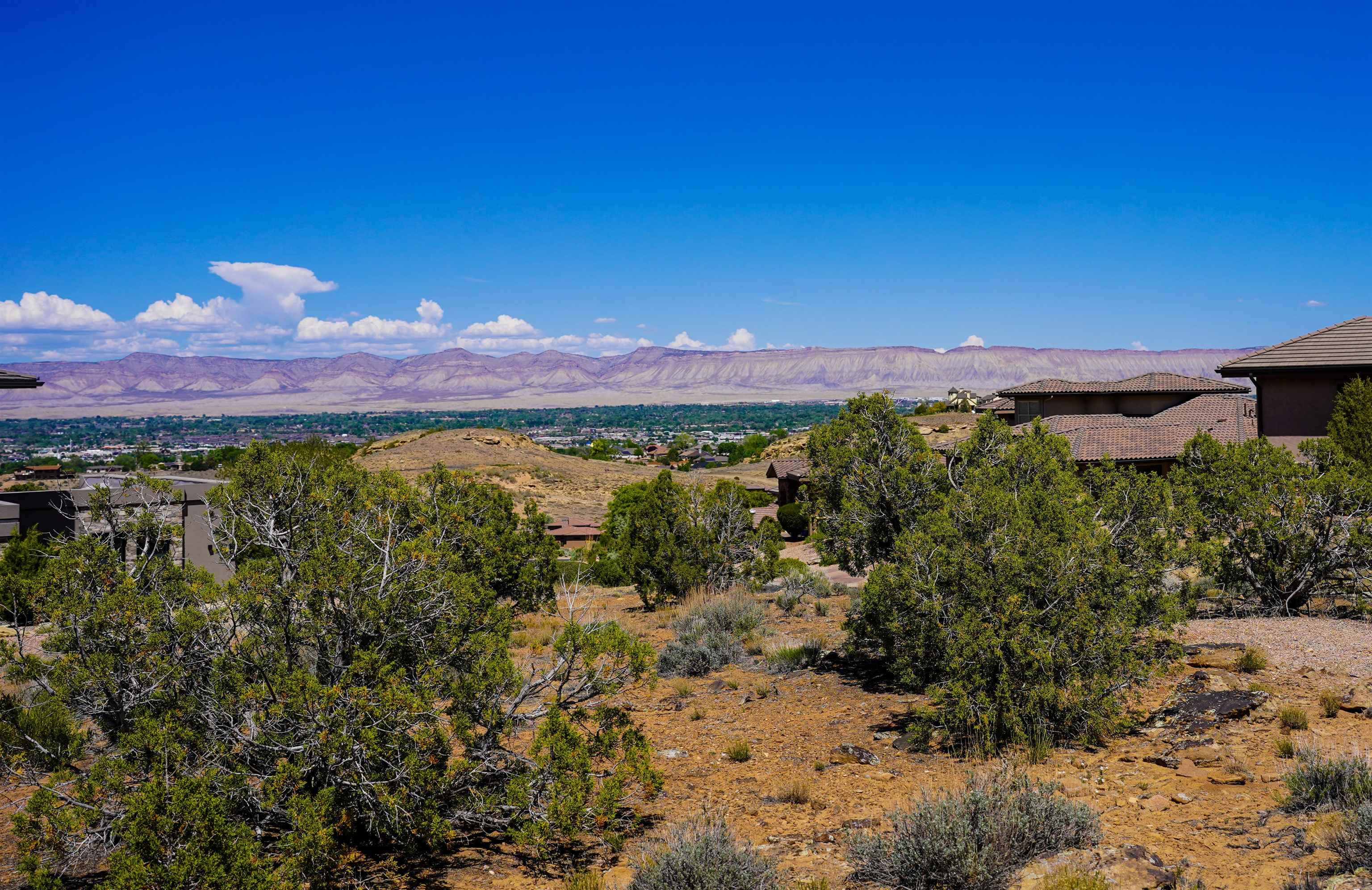 353 High Desert Road Grand Junction, CO 81507 - Photo 14 of 15 a view of a city with a lake view