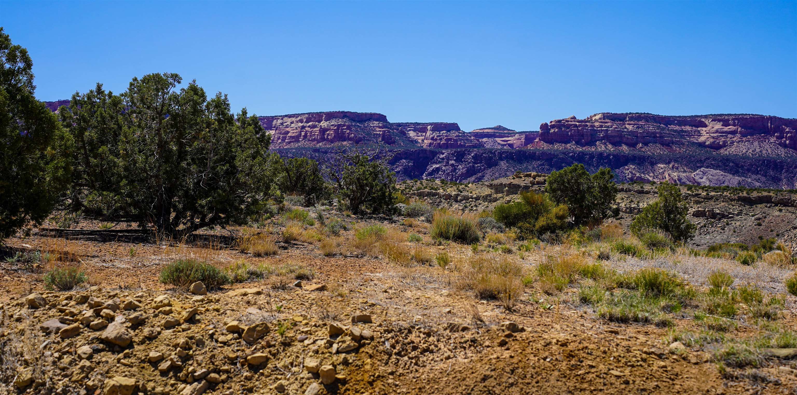 353 High Desert Road Grand Junction, CO 81507 - Photo 6 of 15 a view of a area with a street