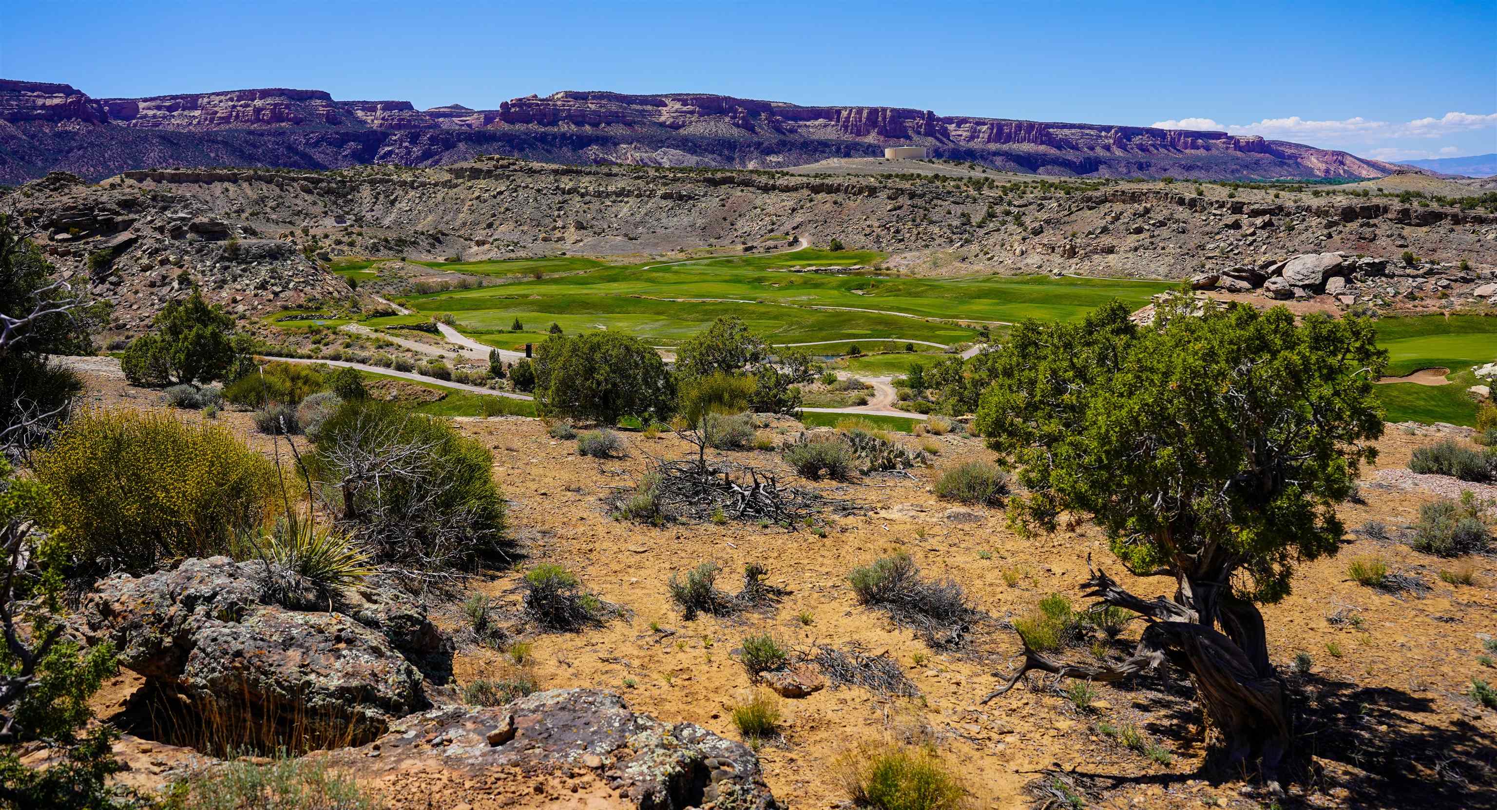353 High Desert Road Grand Junction, CO 81507 - Photo 9 of 15 a view of a lush green hillside and houses