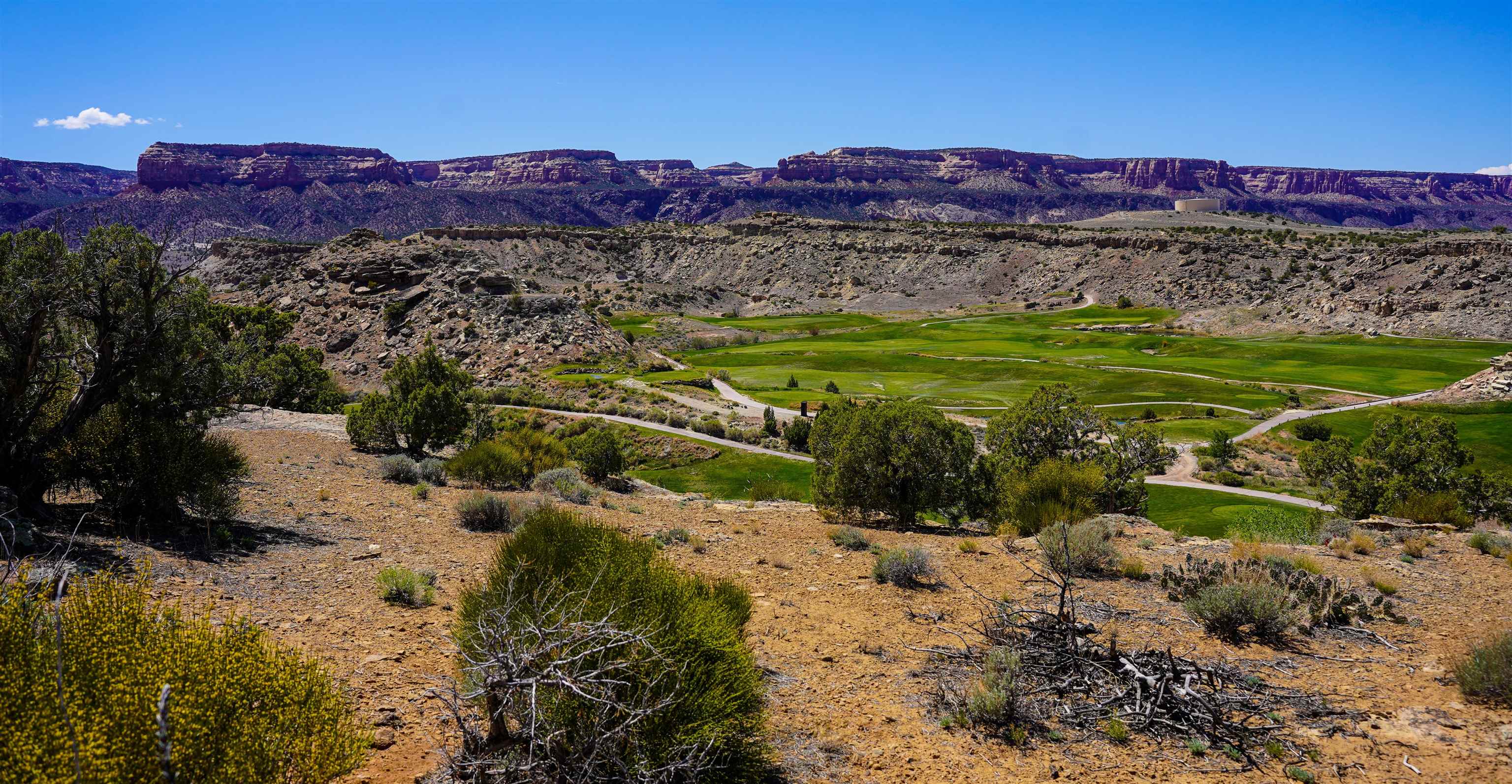353 High Desert Road Grand Junction, CO 81507 - Photo 10 of 15 a view of a lake with a mountain in the background