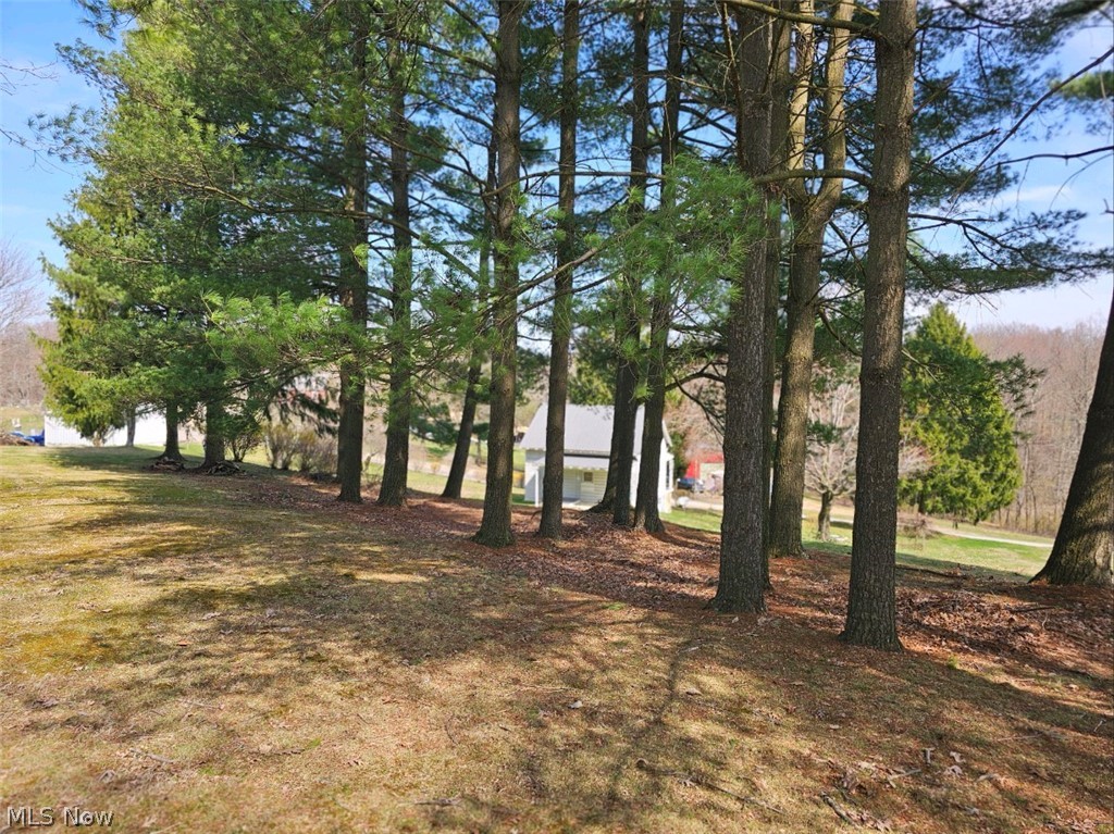 40497 Hanover Ridge Road Cadiz, OH 43907 - Photo 3 of 13 View of yard