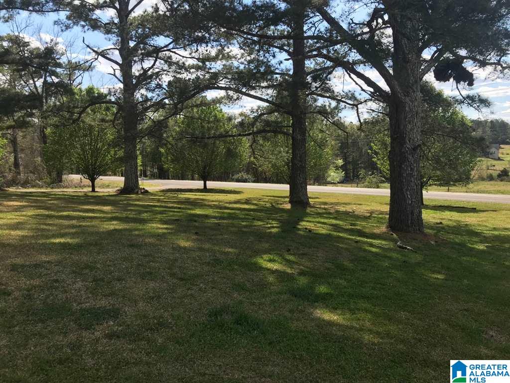 1127 Cedar Springs Road Weaver, AL 36277 - Photo 38 of 48