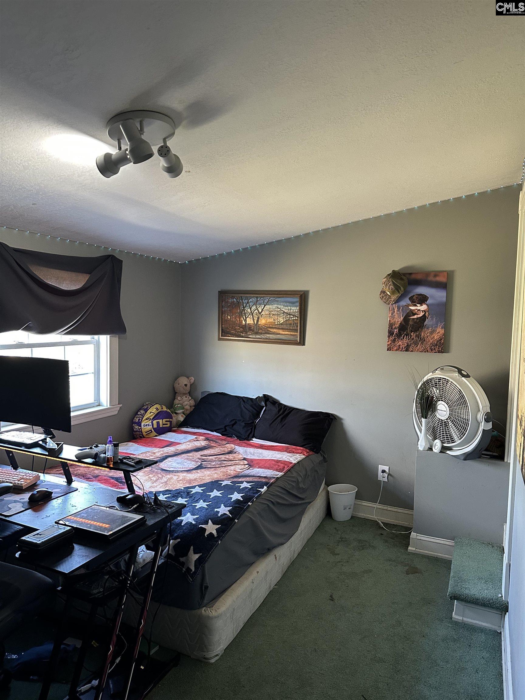 637 Belfast Road Newberry, SC 29108 - Photo 57 of 74