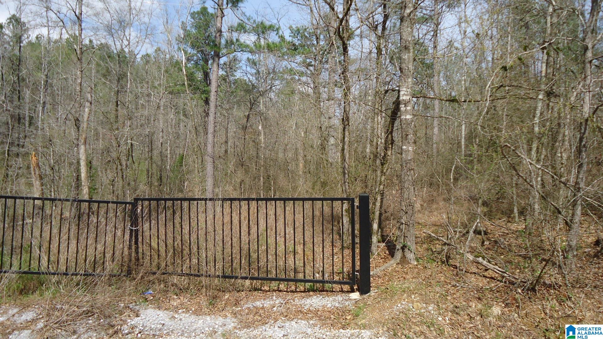 551 Grayton Road South Ohatchee, AL 36271 - Photo 2 of 12