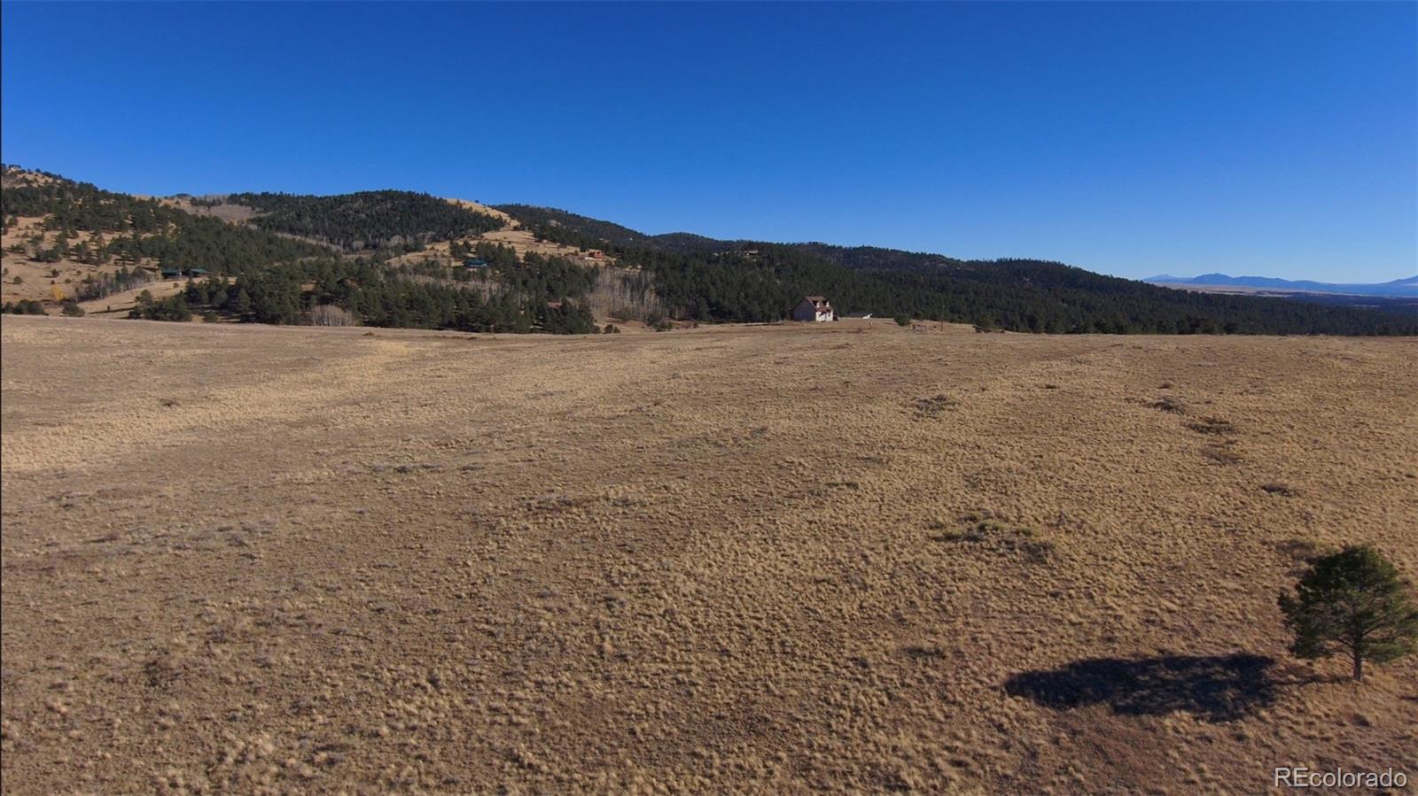 152 Wulsten Way Westcliffe, CO 81252 - Photo 8 of 12 a view of lake and mountain