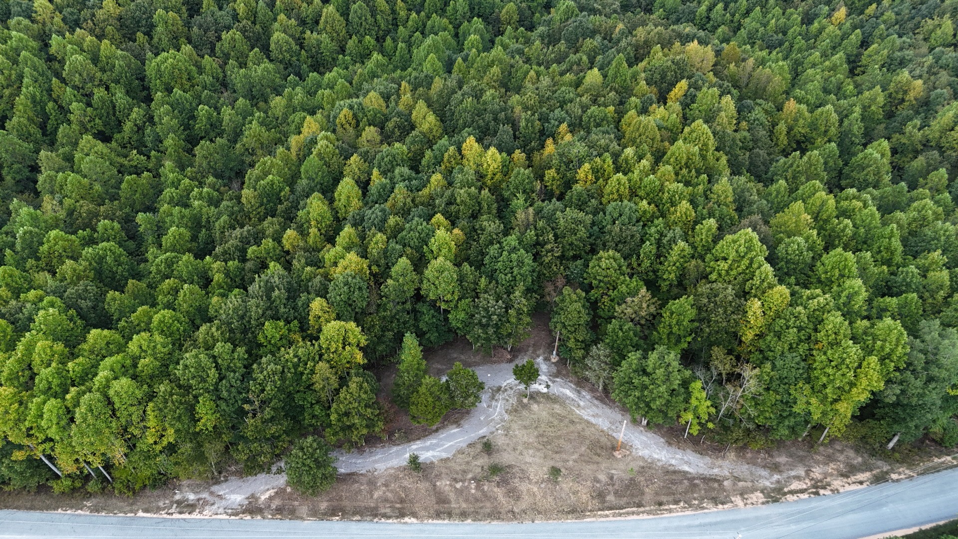 4439 Old Hohenwald Road Linden, TN 37096 - Photo 1 of 18 a view of a backyard