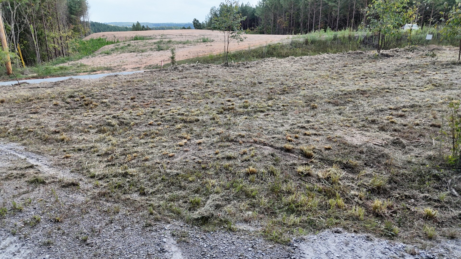 4439 Old Hohenwald Road Linden, TN 37096 - Photo 4 of 18 a view of a dry yard with trees