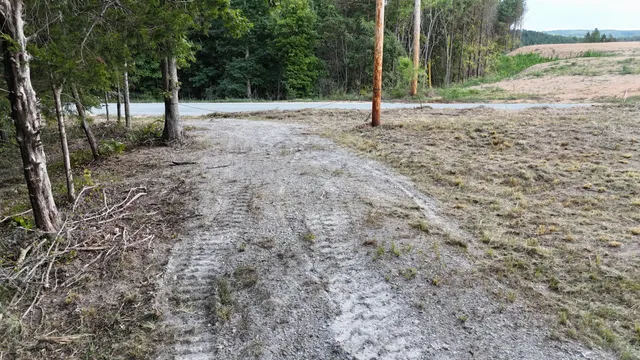 a view of a road with a trees