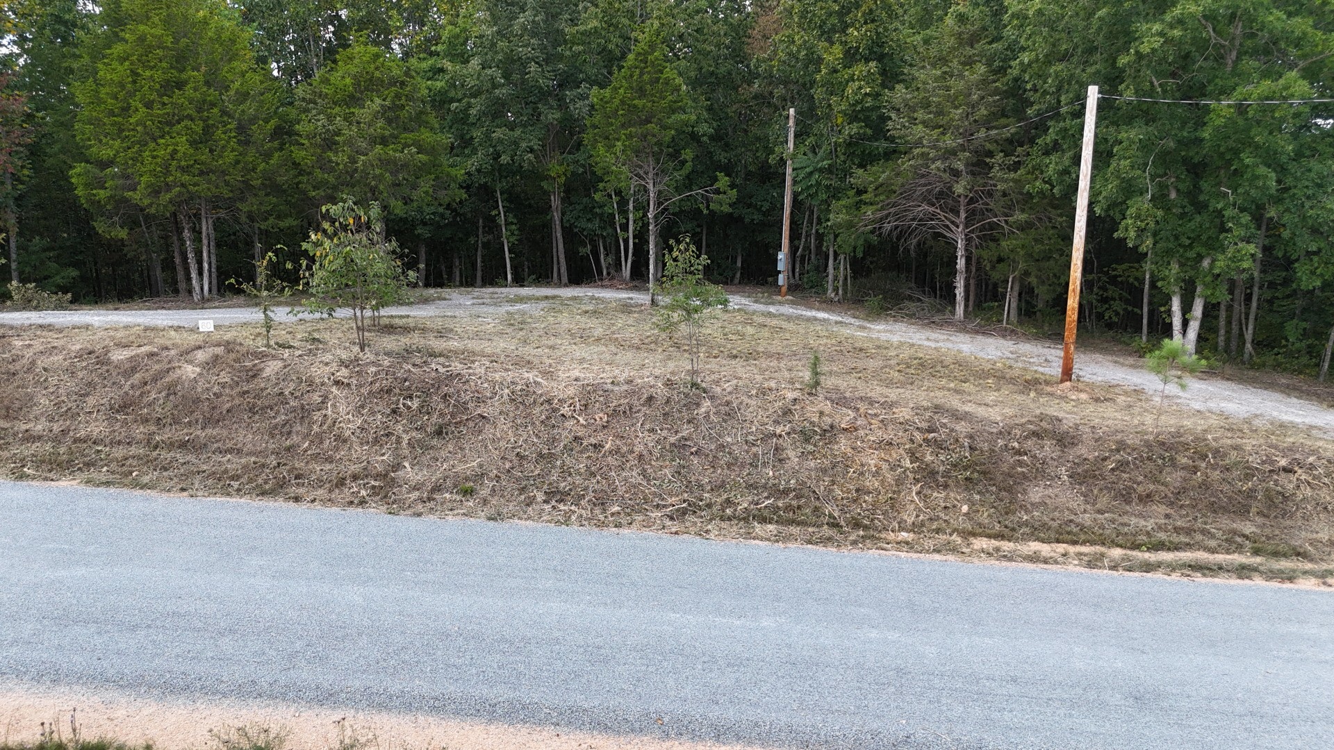 4439 Old Hohenwald Road Linden, TN 37096 - Photo 8 of 18 a backyard of a house with lots of green space