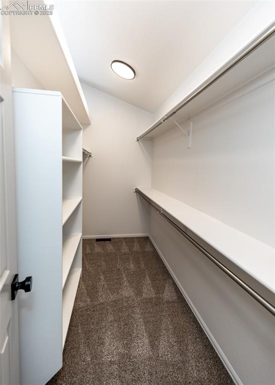 508 Fox Run Circle Colorado Springs, CO 80921 - Photo 35 of 50 a view of an empty walk in closet