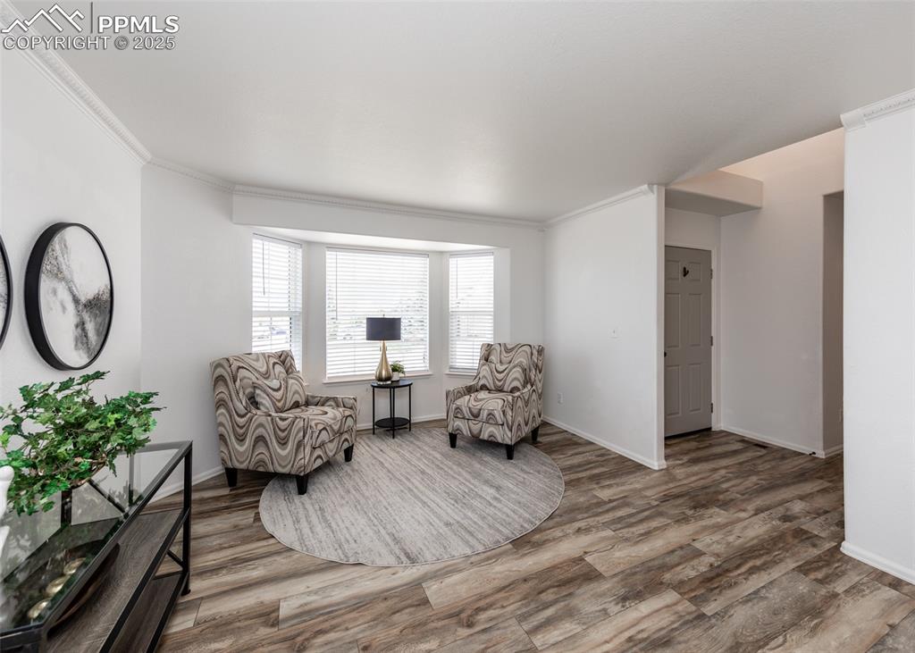 508 Fox Run Circle Colorado Springs, CO 80921 - Photo 7 of 50 a living room with furniture and a large window