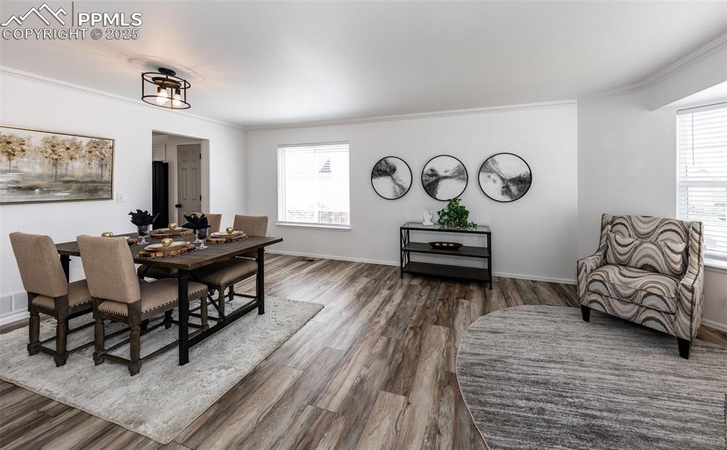 508 Fox Run Circle Colorado Springs, CO 80921 - Photo 8 of 50 a living room with furniture and a window