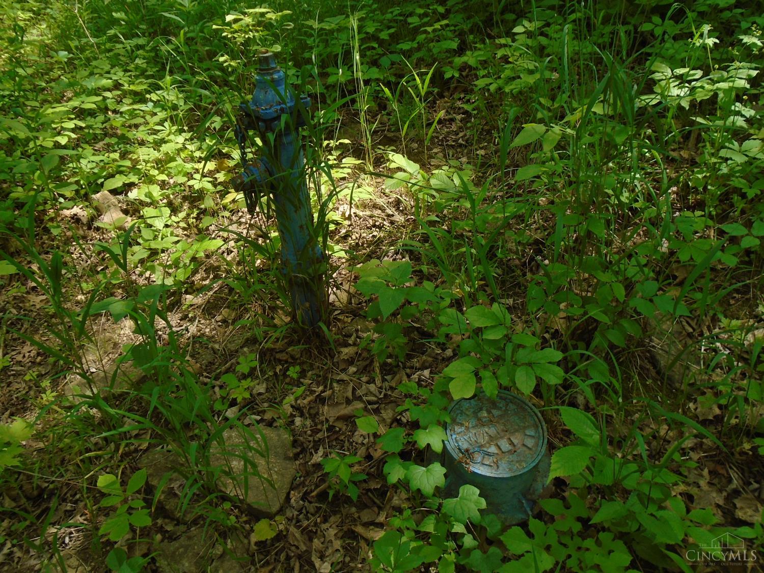 0 Rischforth Road Georgetown, OH 45121 - Photo 11 of 11