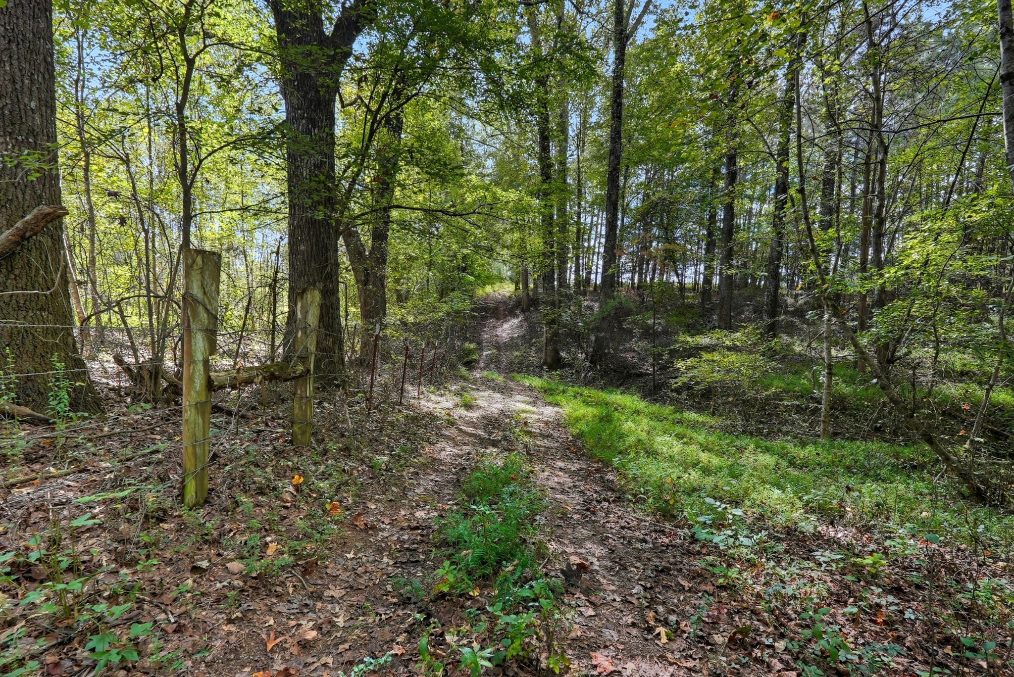 0 Liberty Road Sparta, TN 38583 - Photo 13 of 30