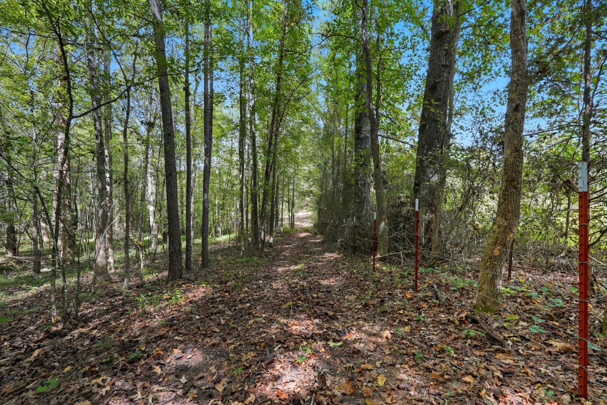 0 Liberty Road Sparta, TN 38583 - Photo 14 of 30 a view of outdoor space and trees