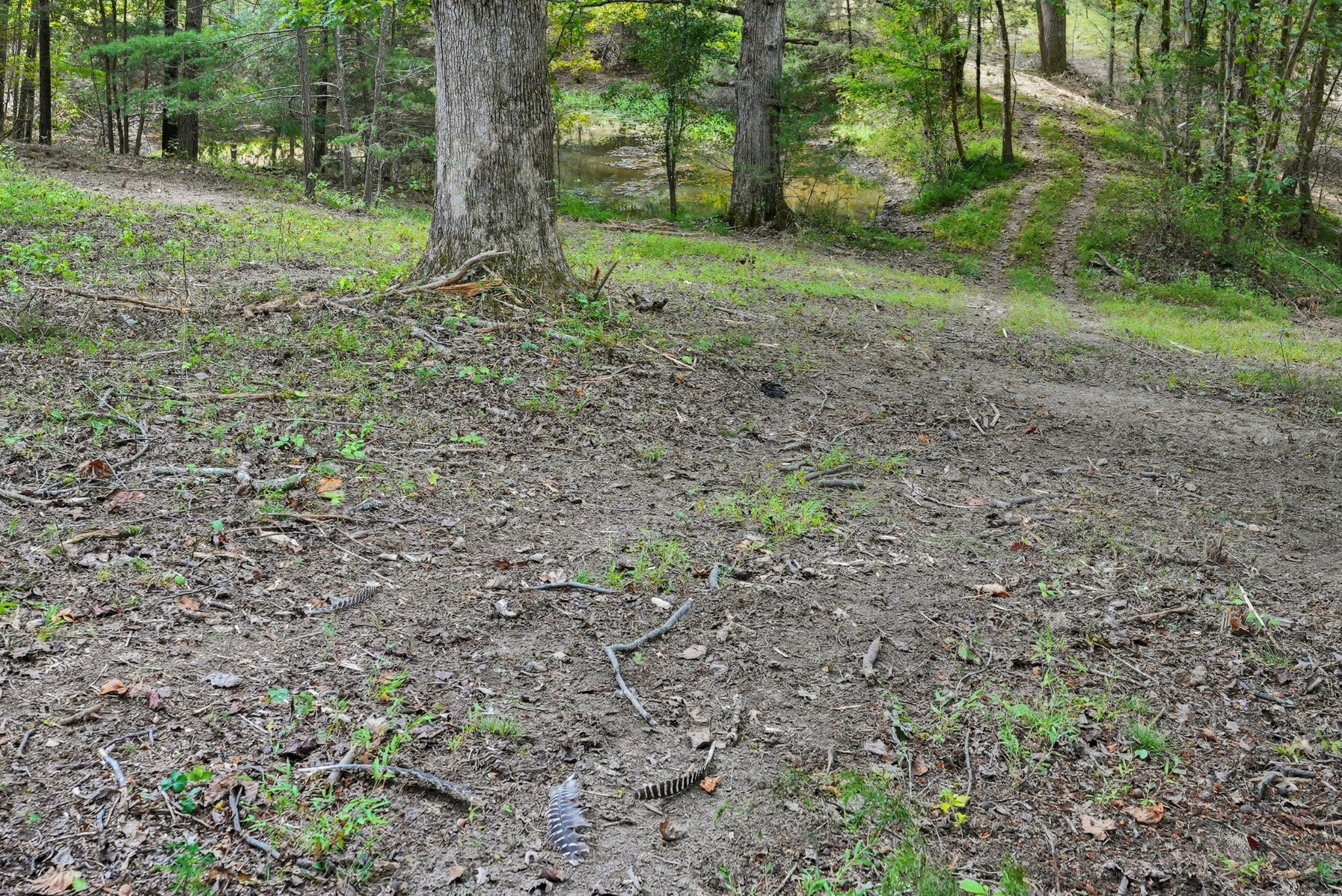 0 Liberty Road Sparta, TN 38583 - Photo 19 of 30 a view of outdoor space and green space