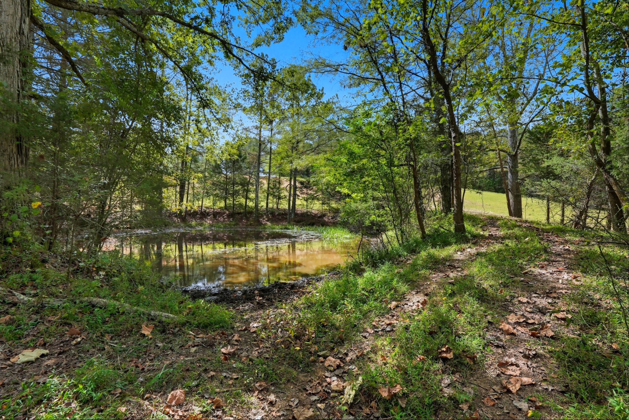 0 Liberty Road Sparta, TN 38583 - Photo 25 of 30 a backyard of a house with lots of green space