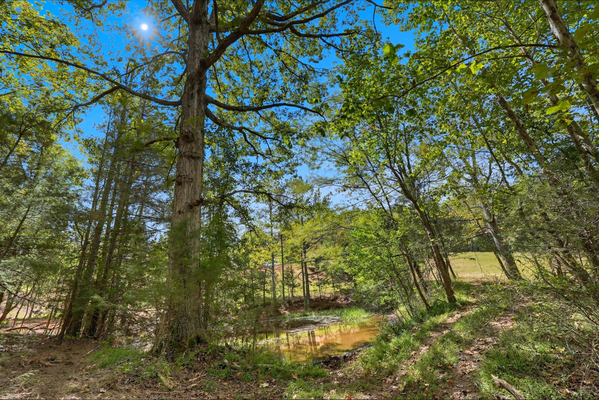 0 Liberty Road Sparta, TN 38583 - Photo 26 of 30 a backyard of a house with lots of green space and garden
