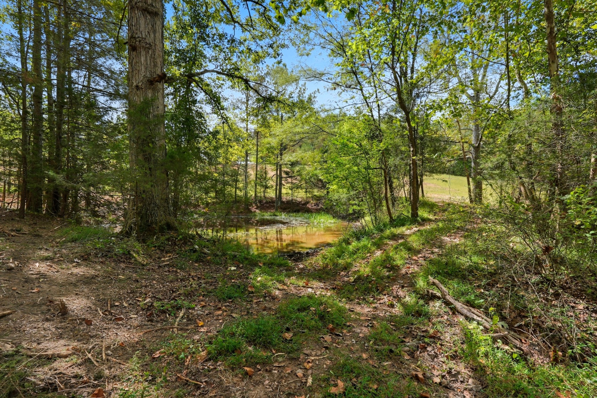 0 Liberty Road Sparta, TN 38583 - Photo 27 of 30 a backyard of a house with lots of green space