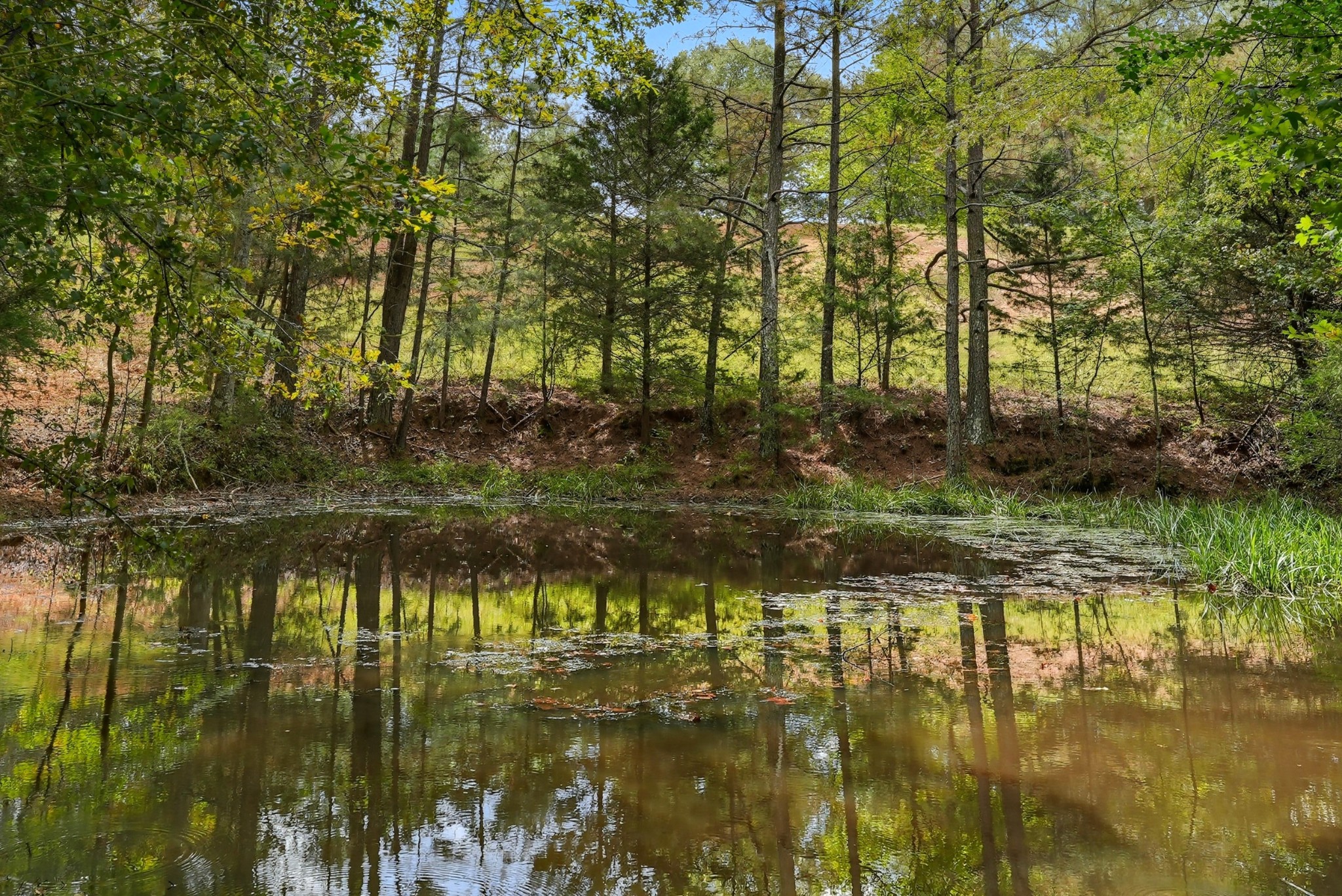 0 Liberty Road Sparta, TN 38583 - Photo 29 of 30 a view of lake