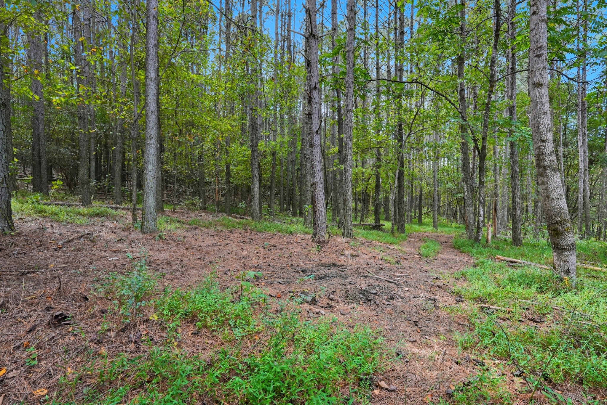 0 Liberty Road Sparta, TN 38583 - Photo 30 of 30 a view of outdoor space and green space