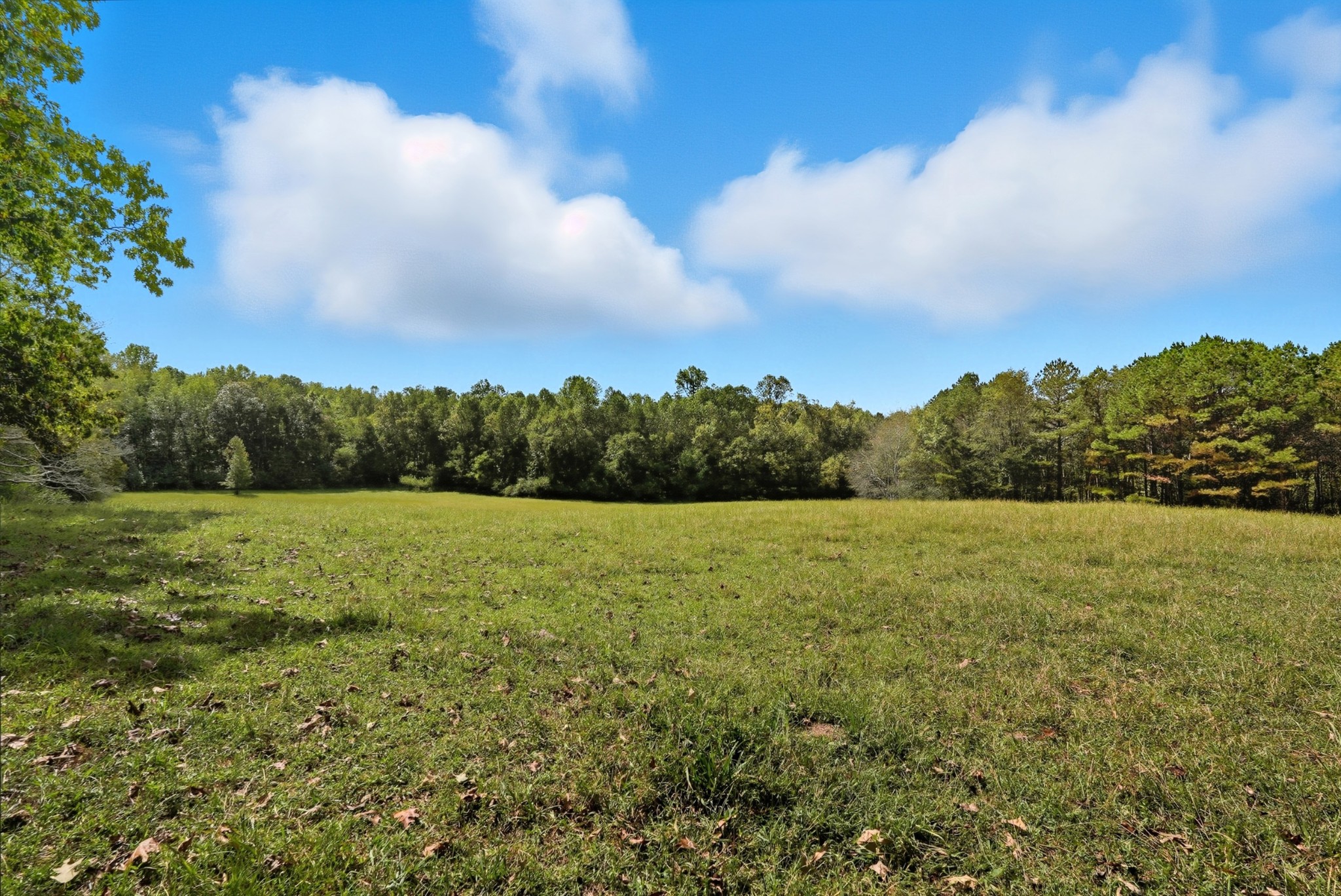 0 Liberty Road Sparta, TN 38583 - Photo 4 of 30 a view of an outdoor space and a yard