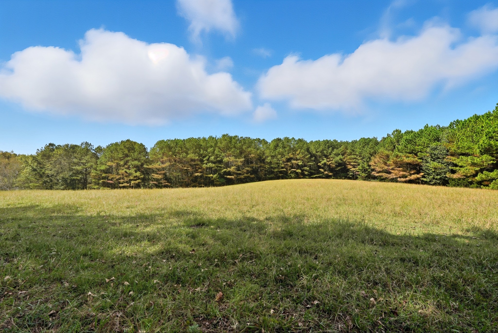 0 Liberty Road Sparta, TN 38583 - Photo 8 of 30 a view of outdoor space and yard