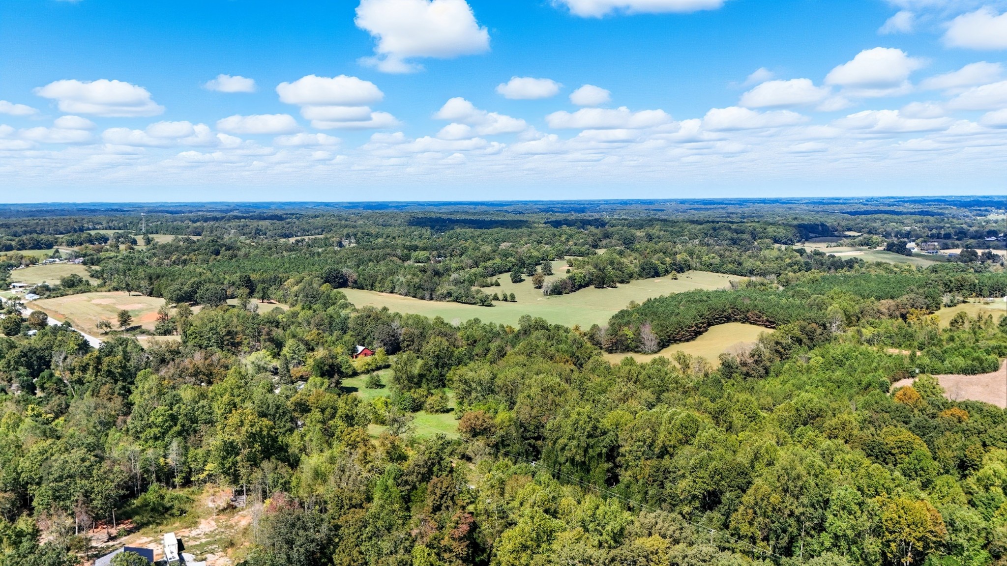 0 Liberty Road Sparta, TN 38583 - Photo 10 of 30 a view of a bunch of trees in a field