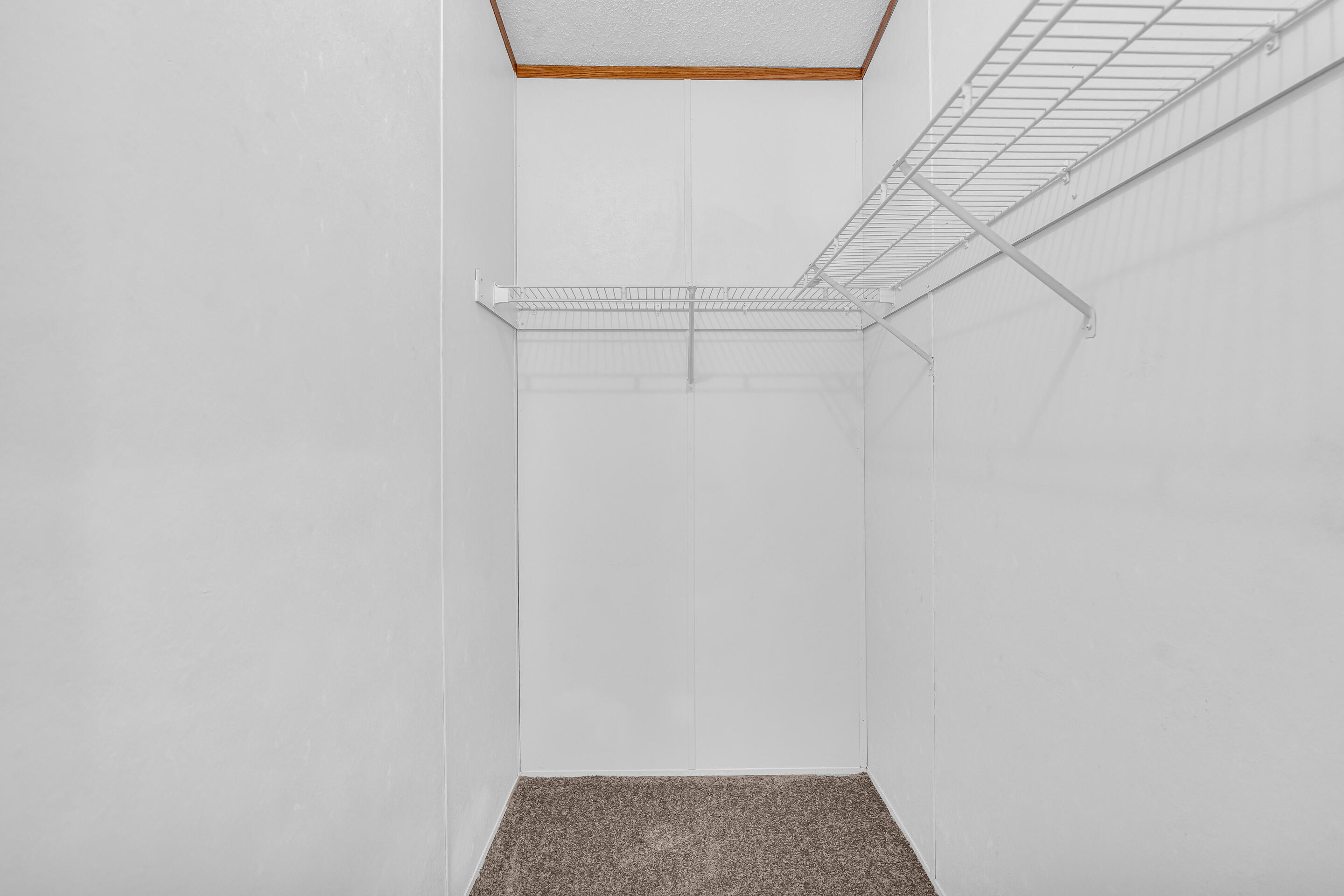 1353 Wrightsboro Road Thomson, GA 30824 - Photo 56 of 75 91