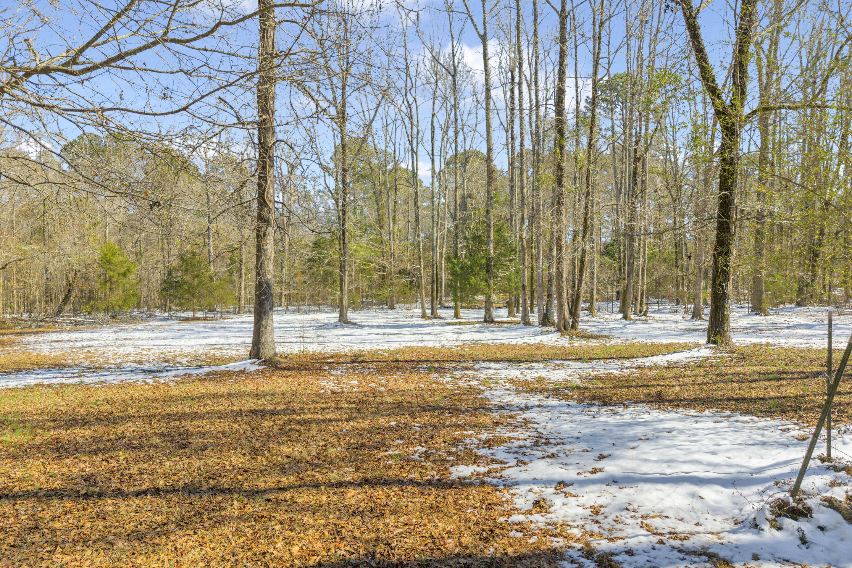 1353 Wrightsboro Road Thomson, GA 30824 - Photo 65 of 75 34