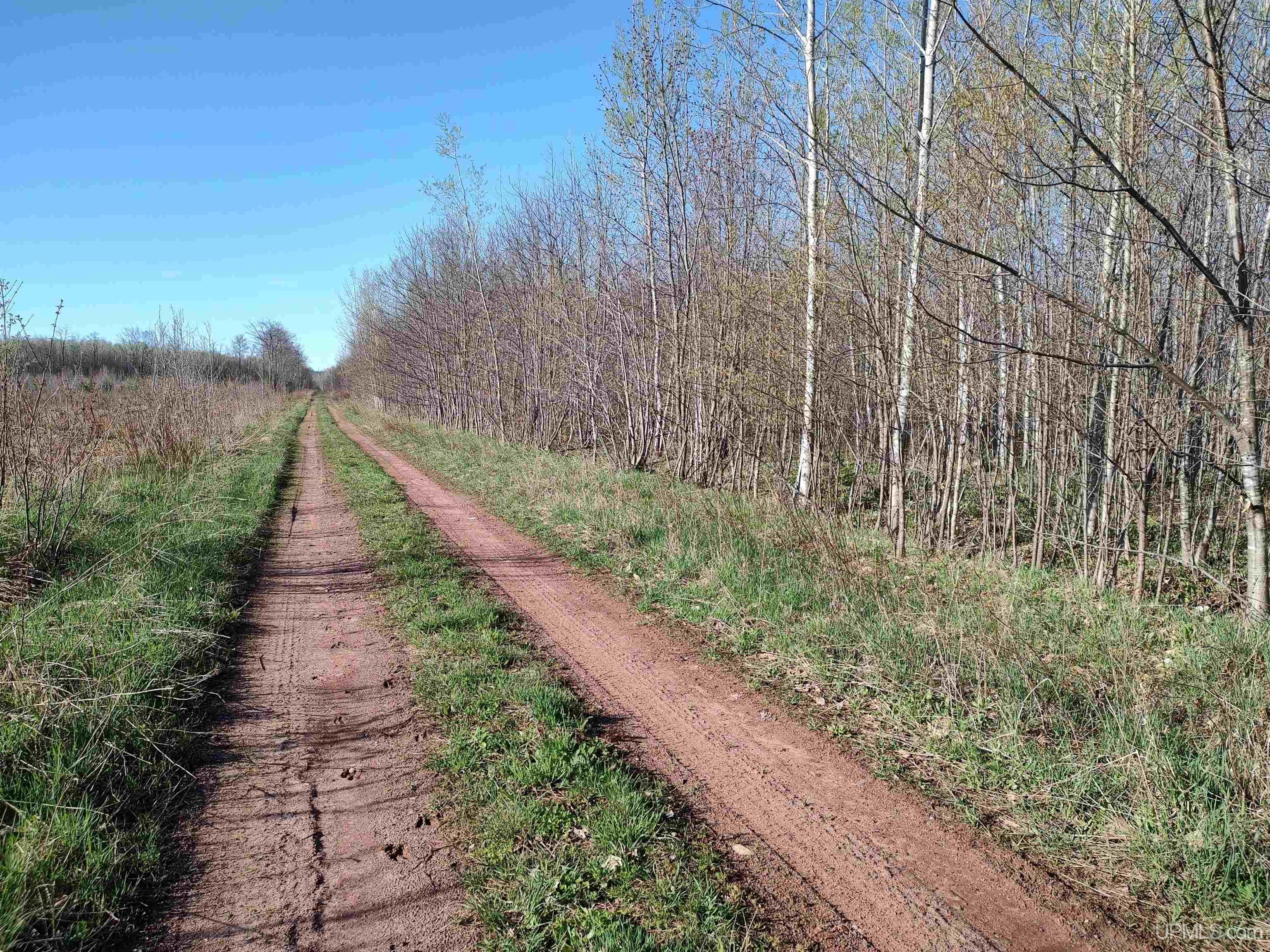 Tbd Tbd Schooner Road Ontonagon, MI 49953 - Photo 6 of 44