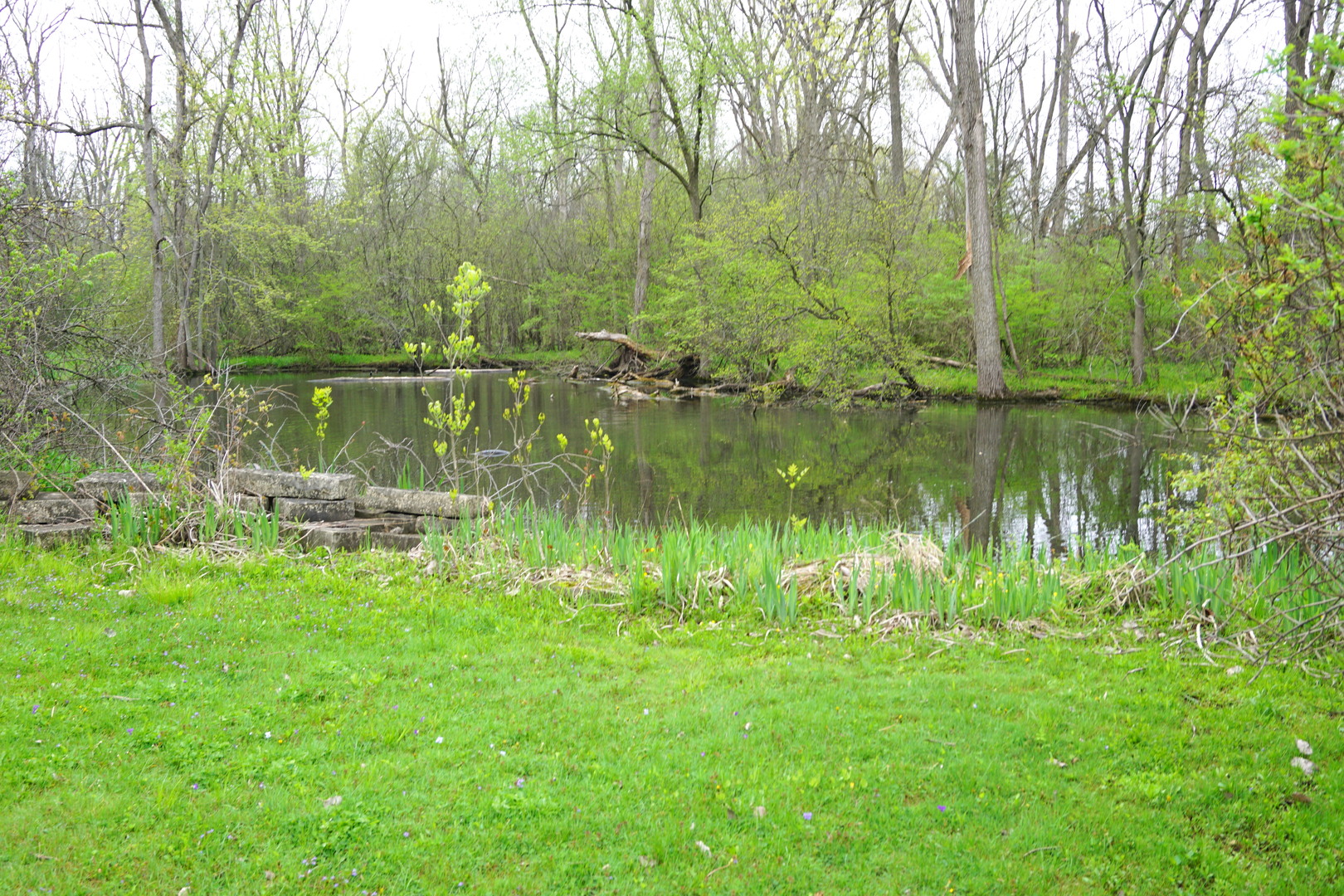 500 Voltz Road Northbrook, IL 60062 - Photo 46 of 48