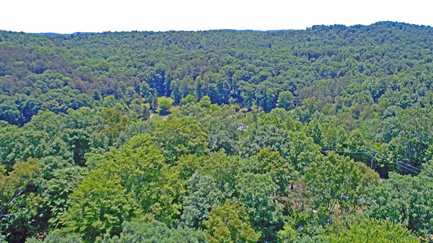 1558 Sandy Gap Road Somerset, KY 42501 - Photo 58 of 67 DJI_0189