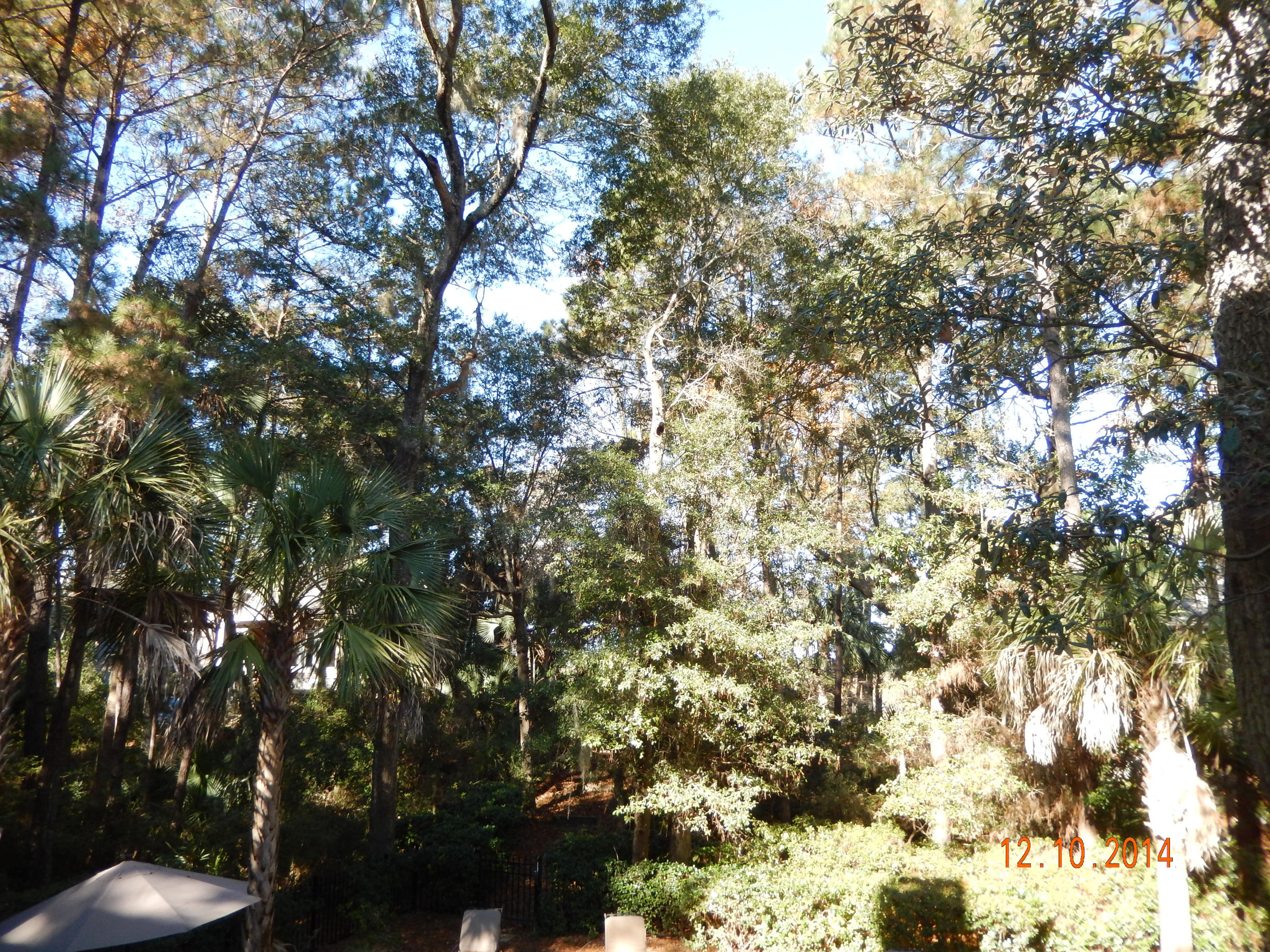 89 Friendfield Hall Kiawah Island, SC 29455 - Photo 22 of 29 DSCN5928
