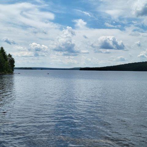 T4 Wadleigh Pond Road Millinocket, ME 04462 - Photo 12 of 38 North Twin Lake