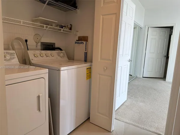 a view of a yard with a fountain and a palm tree