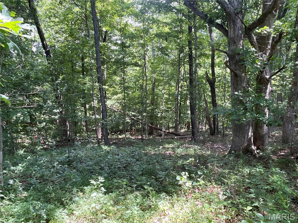 920 South Poplar Camp Road Makanda, IL 62958 - Photo 26 of 53