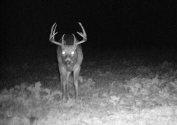 0 Clark Road Hillsdale, MI 49242 - Photo 2 of 8 Frontier buck