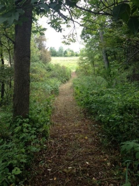 0 Clark Road Hillsdale, MI 49242 - Photo 5 of 8 burt rd 5