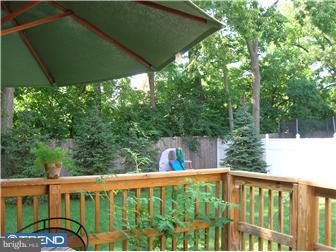718 Maria Avenue Sinking Spring, PA 19608 - Photo 6 of 6