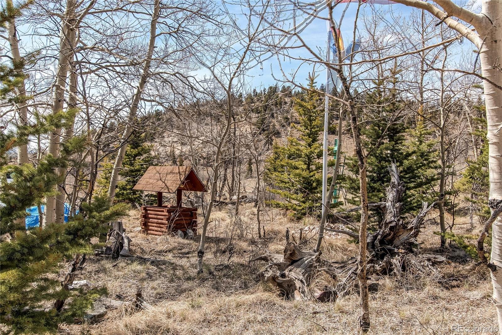 55 Chippewa Road Jefferson, CO 80456 - Photo 14 of 48 Gallery Image 14