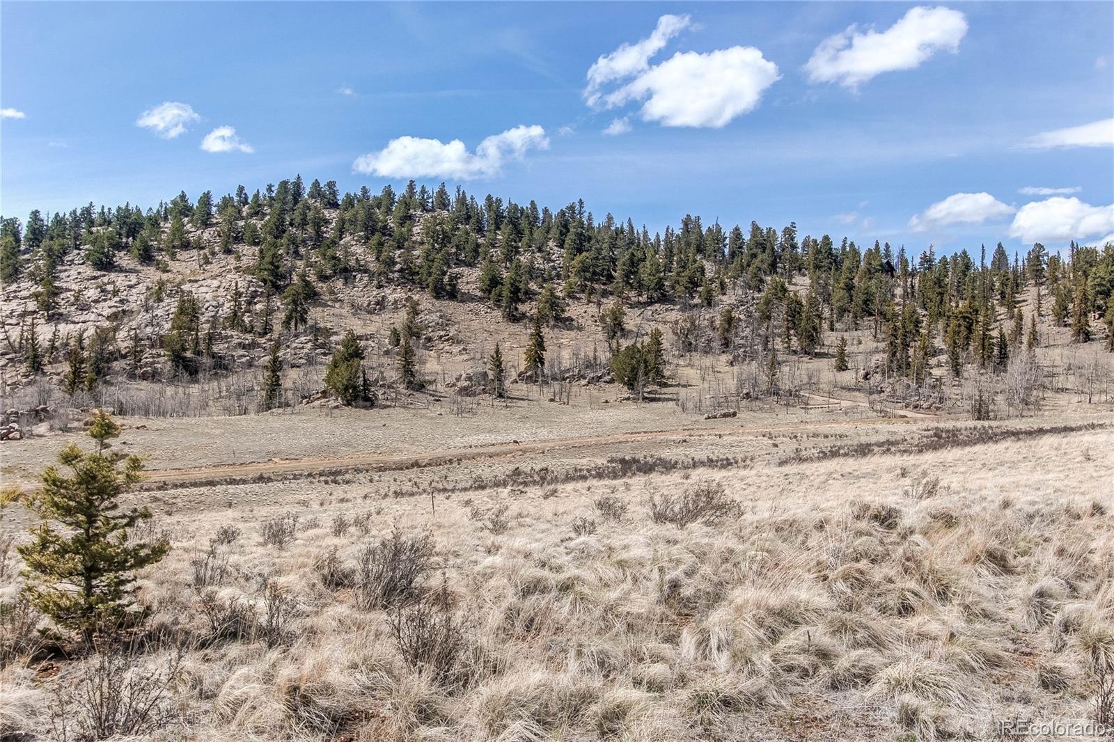 55 Chippewa Road Jefferson, CO 80456 - Photo 9 of 48 Gallery Image 9