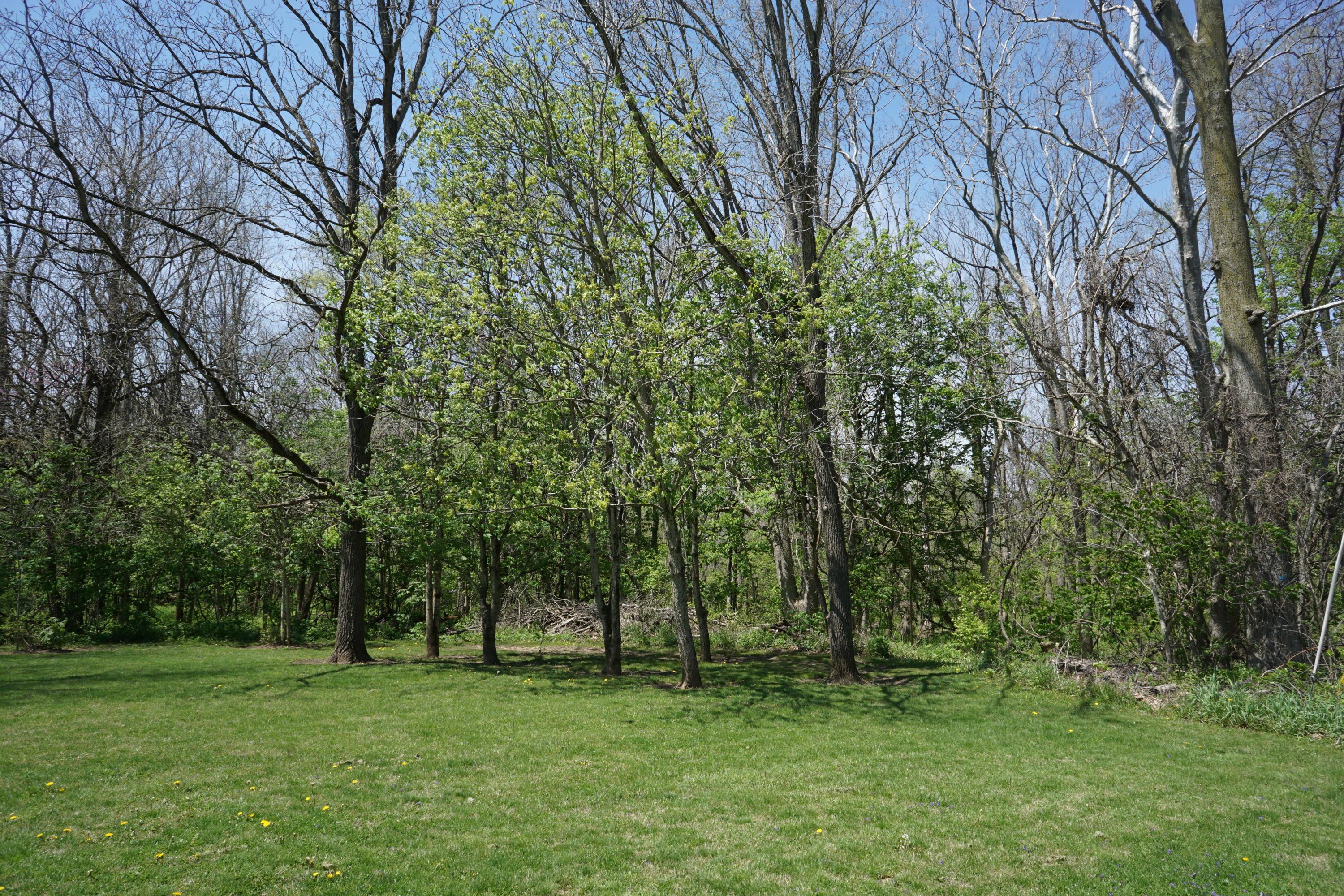 8490 Mills Road Ostrander, OH 43061 - Photo 33 of 42 Gallery Image 33