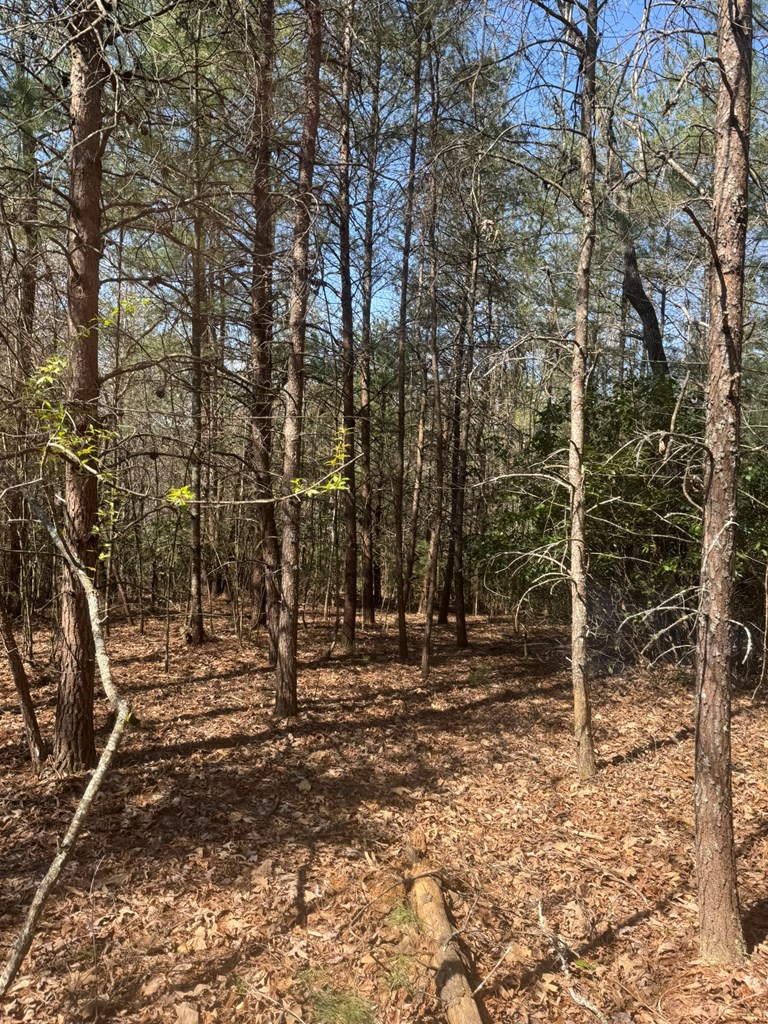 0 Blue Ridge Heights Drive Hayesville, NC 28904 - Photo 11 of 11 a view of outdoor space with trees