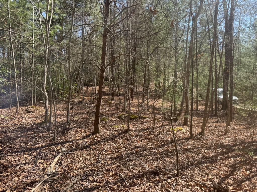 0 Blue Ridge Heights Drive Hayesville, NC 28904 - Photo 4 of 11 a view of a yard with trees