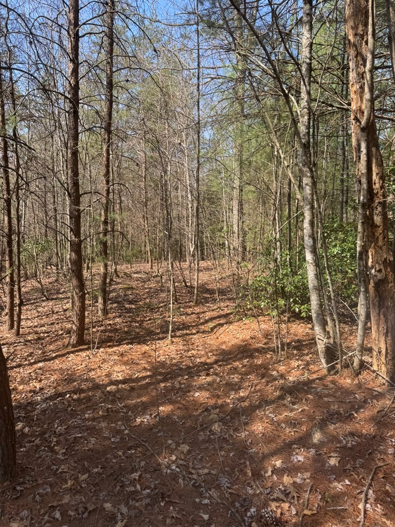 0 Blue Ridge Heights Drive Hayesville, NC 28904 - Photo 7 of 11 a view of a yard with trees
