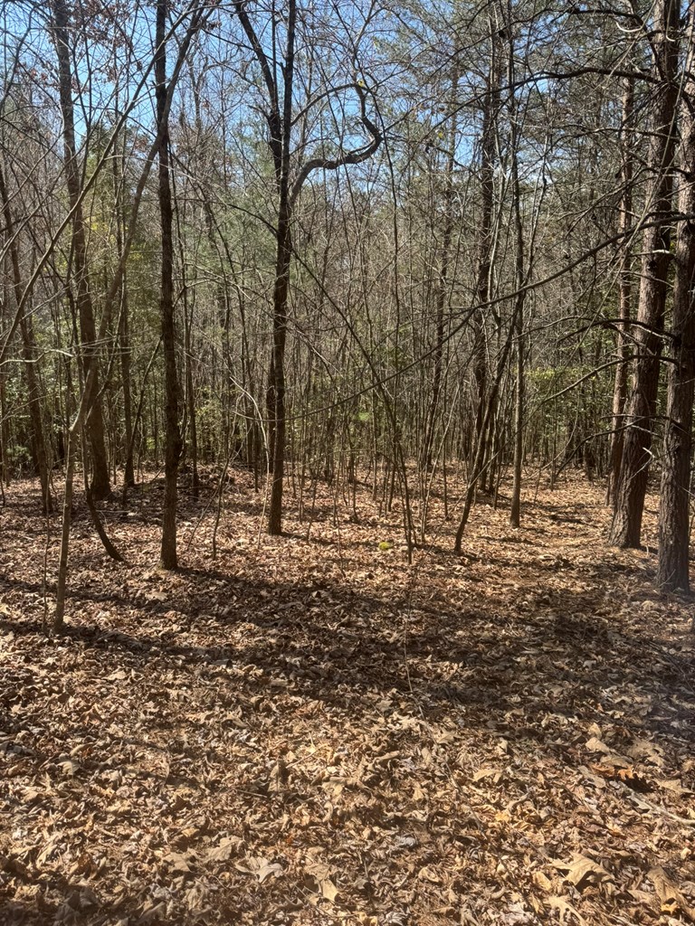 0 Blue Ridge Heights Drive Hayesville, NC 28904 - Photo 10 of 11 a view of empty space with trees